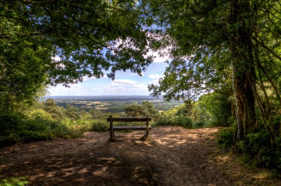 36 Blackdown S